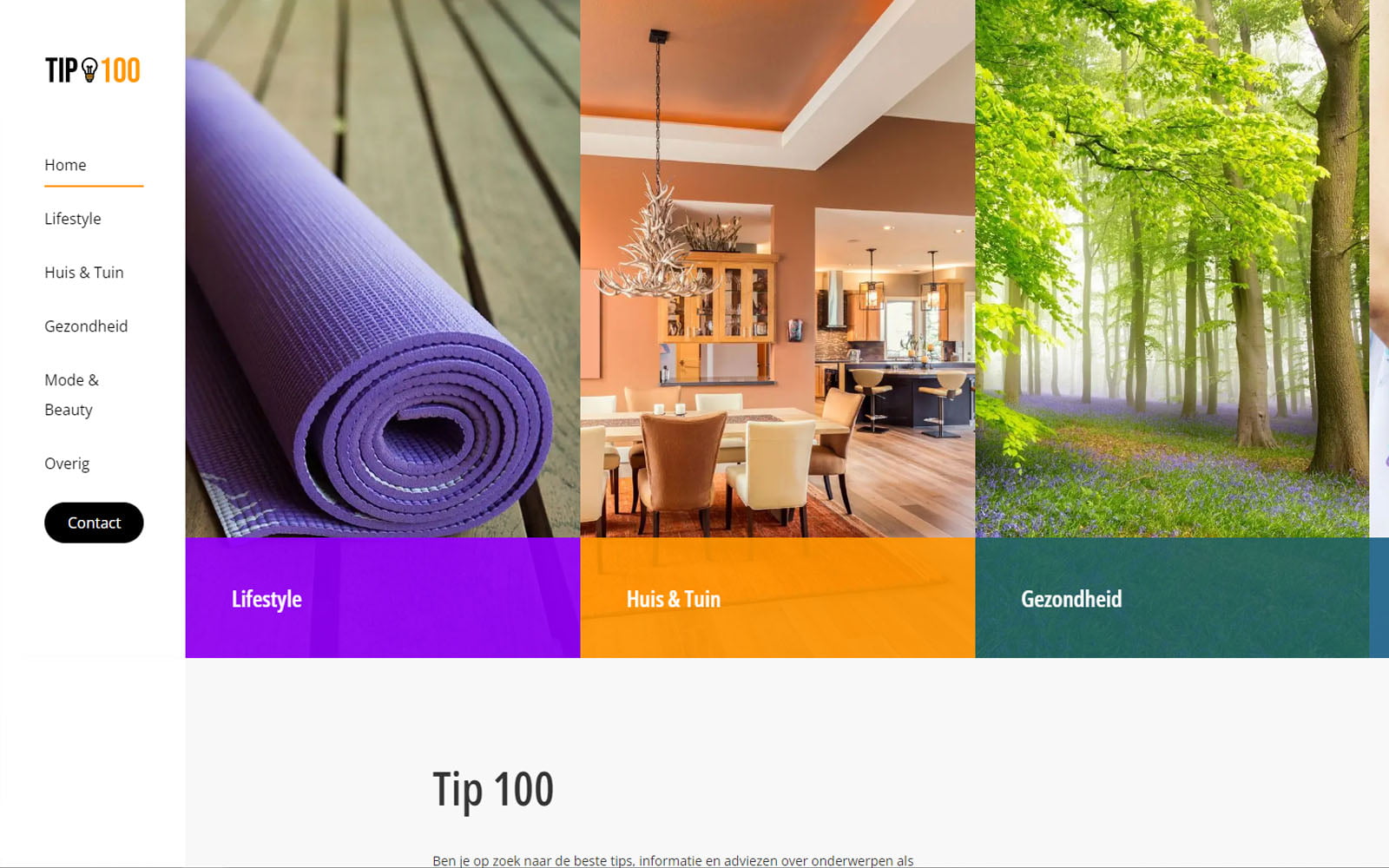 Tip 100 website